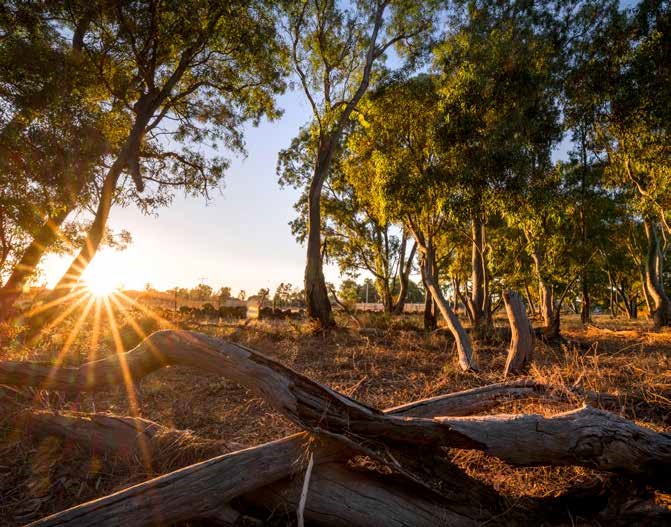 Habitas Conservation Reserve