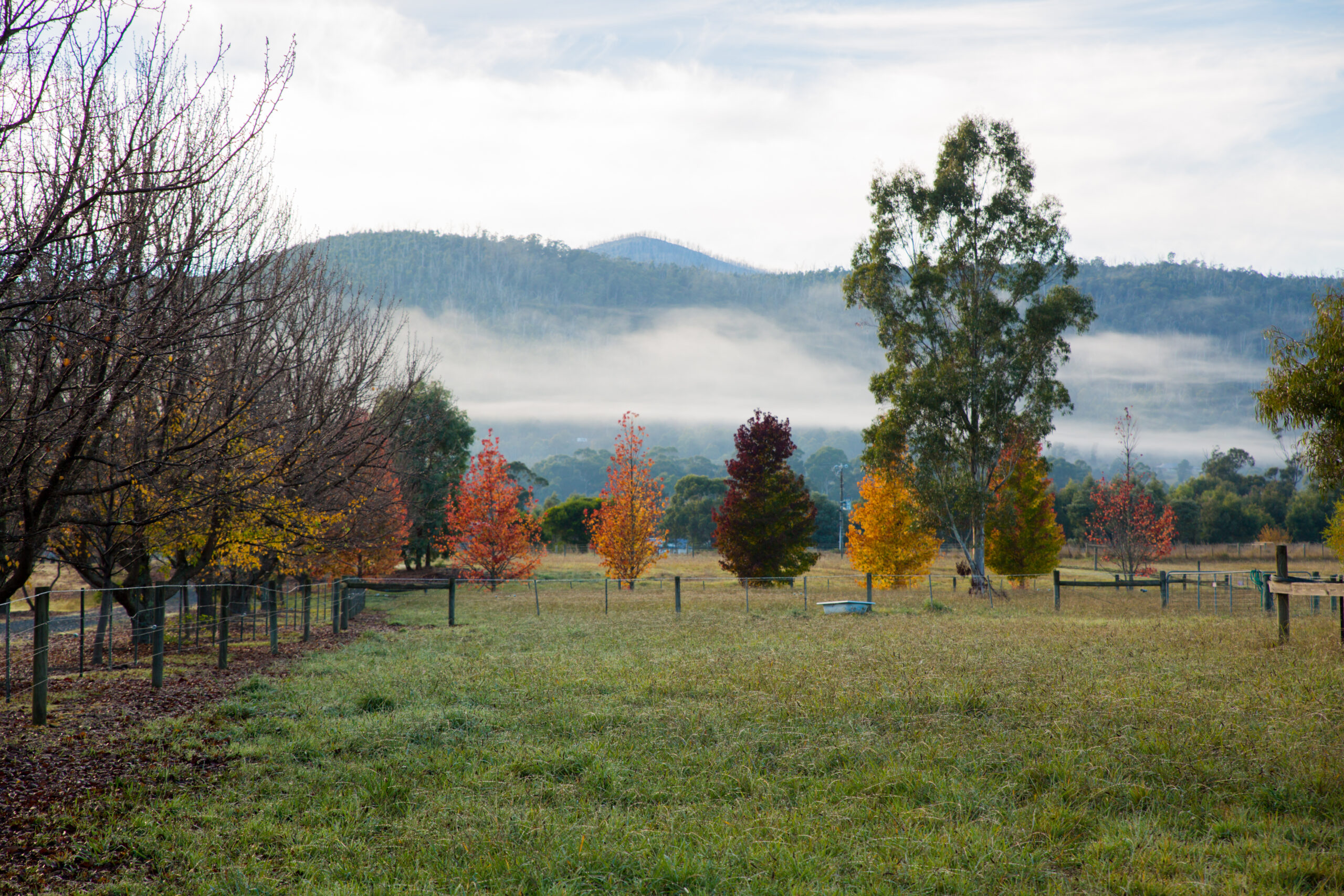 Melbourne Land Market Snapshot August 2022 RPM Group